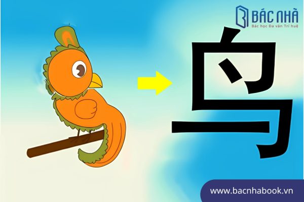 app luyện viết chữ hán 